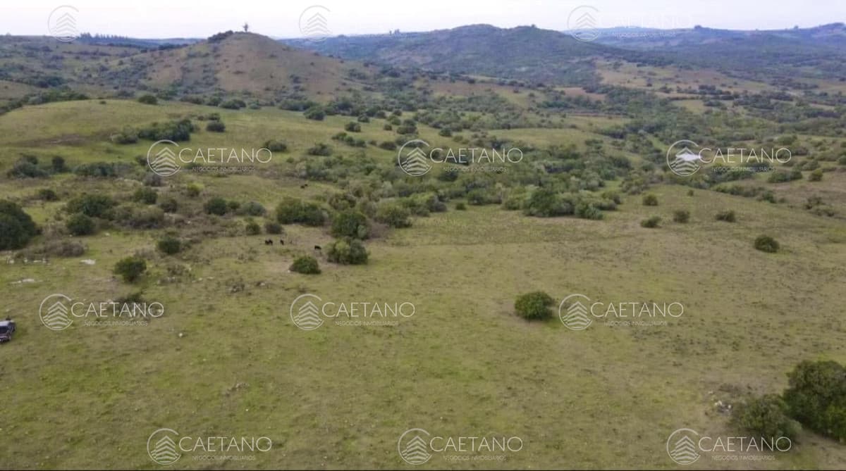Venta chacra 36has Pueblo Eden — foto 2