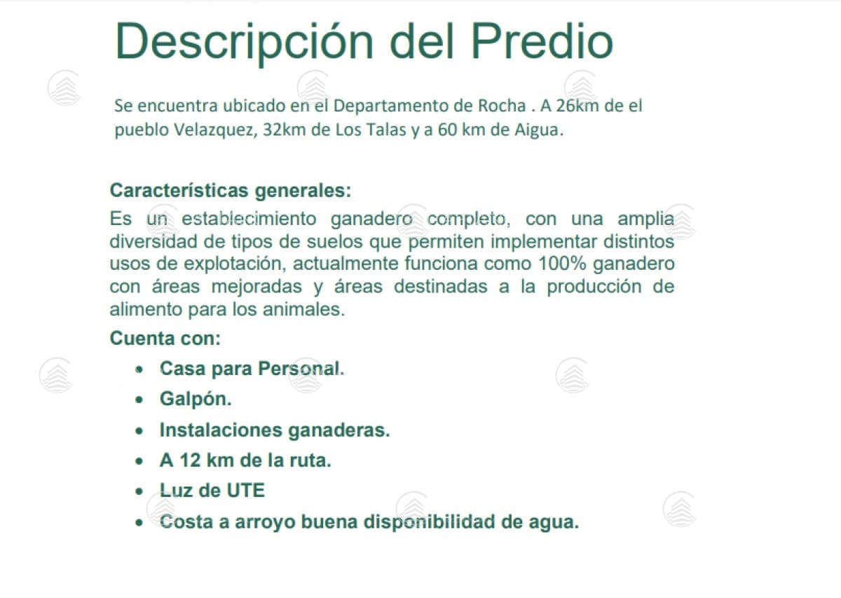 Campo de 1066 hectareas en venta! — foto 3