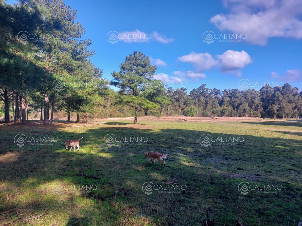 Venta chacra 5has en Canelones - Casa, galpon. tajamar, alambrado — foto 3