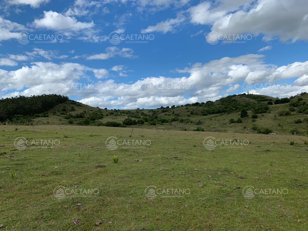 Campo en venta 39 has Aigua