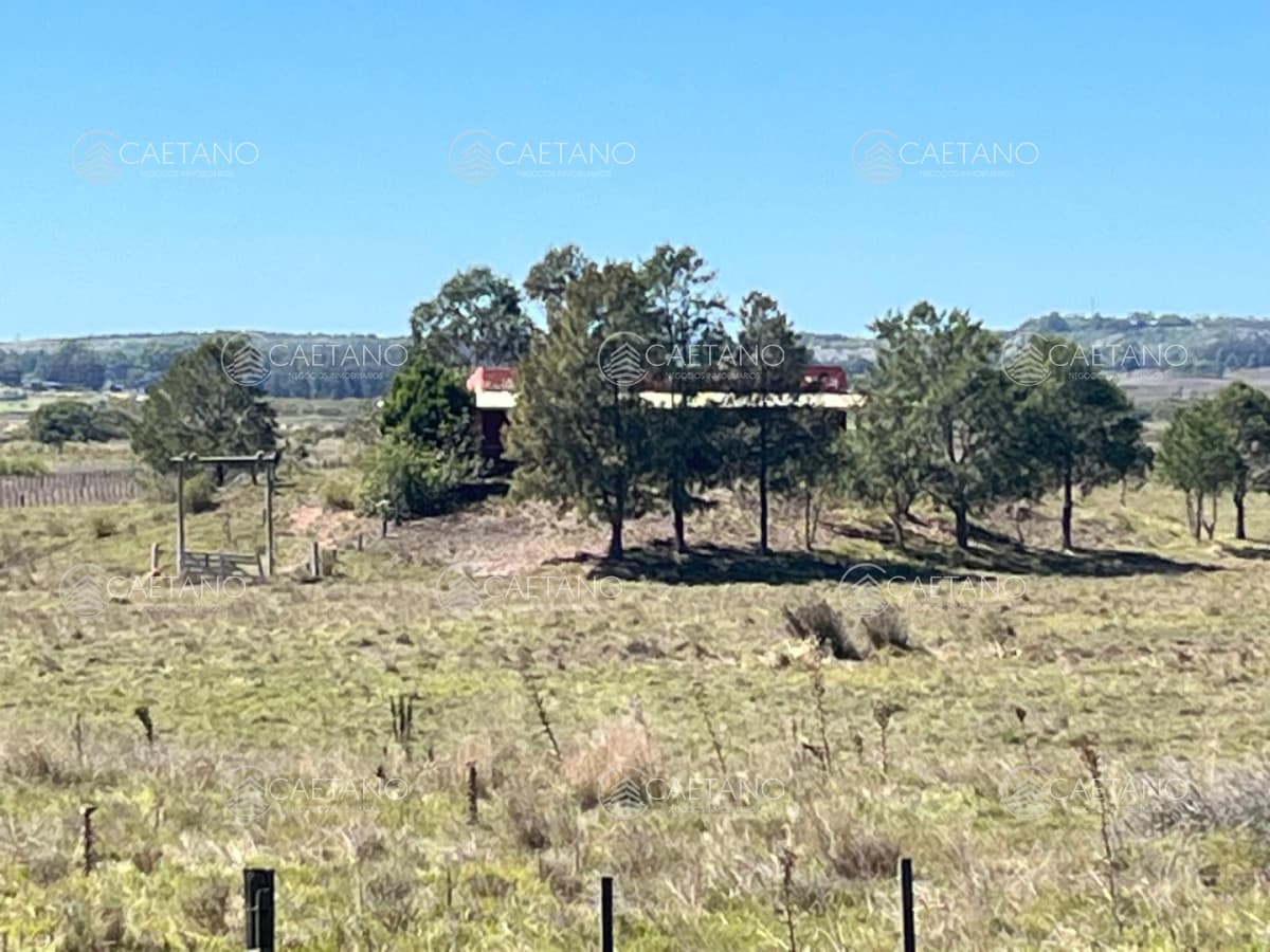 Terreno en alquiler en Maldonado — foto 3