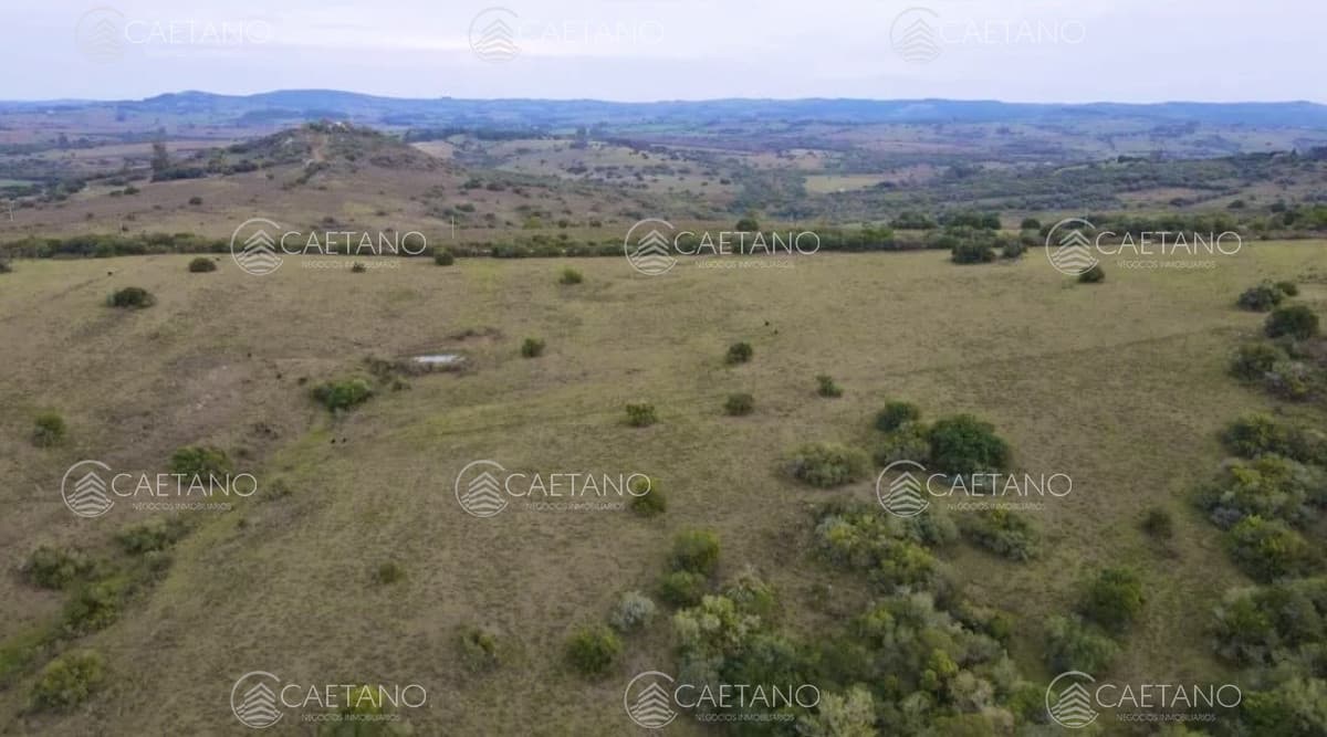 Venta chacra 36has Pueblo Eden — foto 3