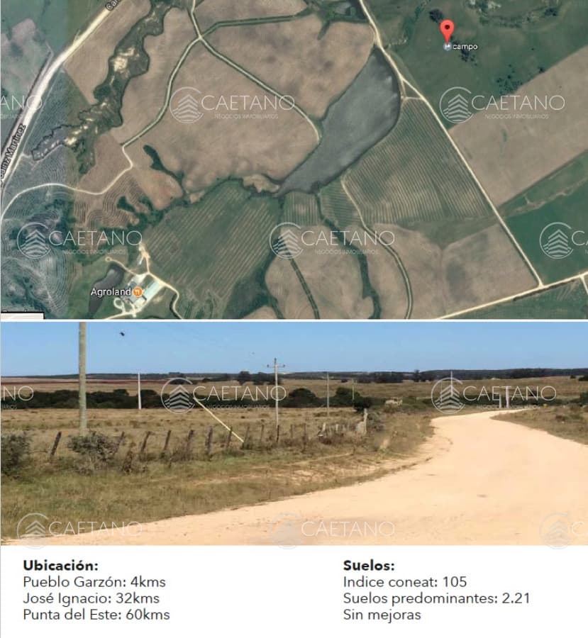 Excelente campo de 113 hectáreas ubicado en Garzón — foto 3