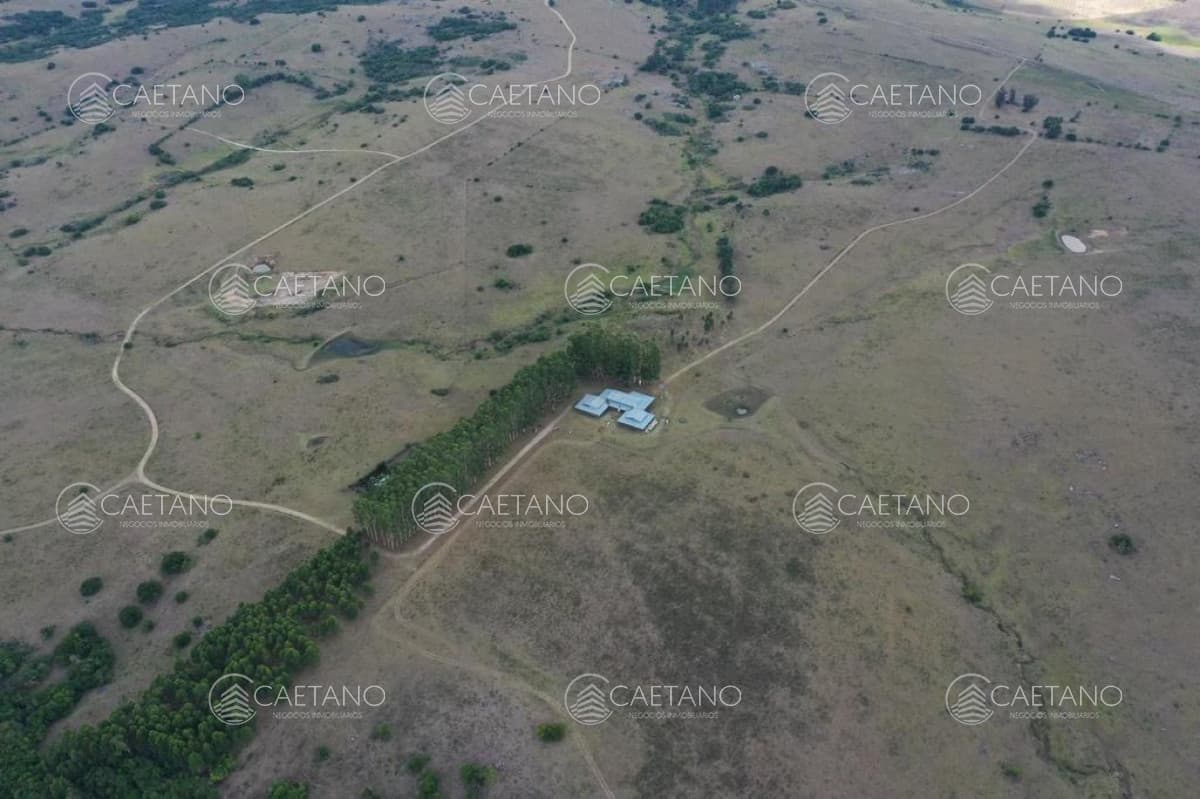Campo de 89 has en venta Pueblo Eden — foto 3