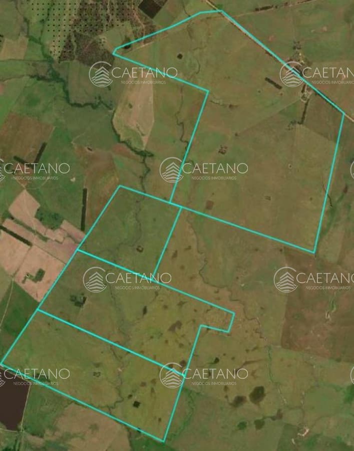 Campo de 800ha en Rocha