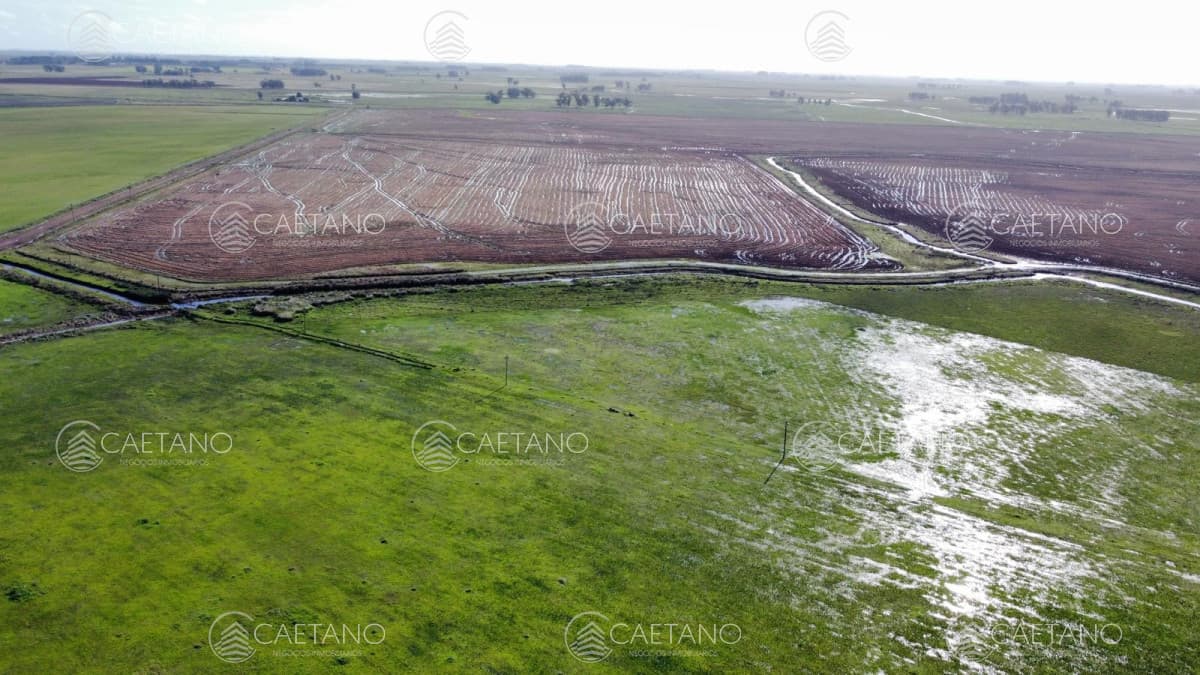 Venta campo agricola ganadero, Lascano Rocha — foto 3