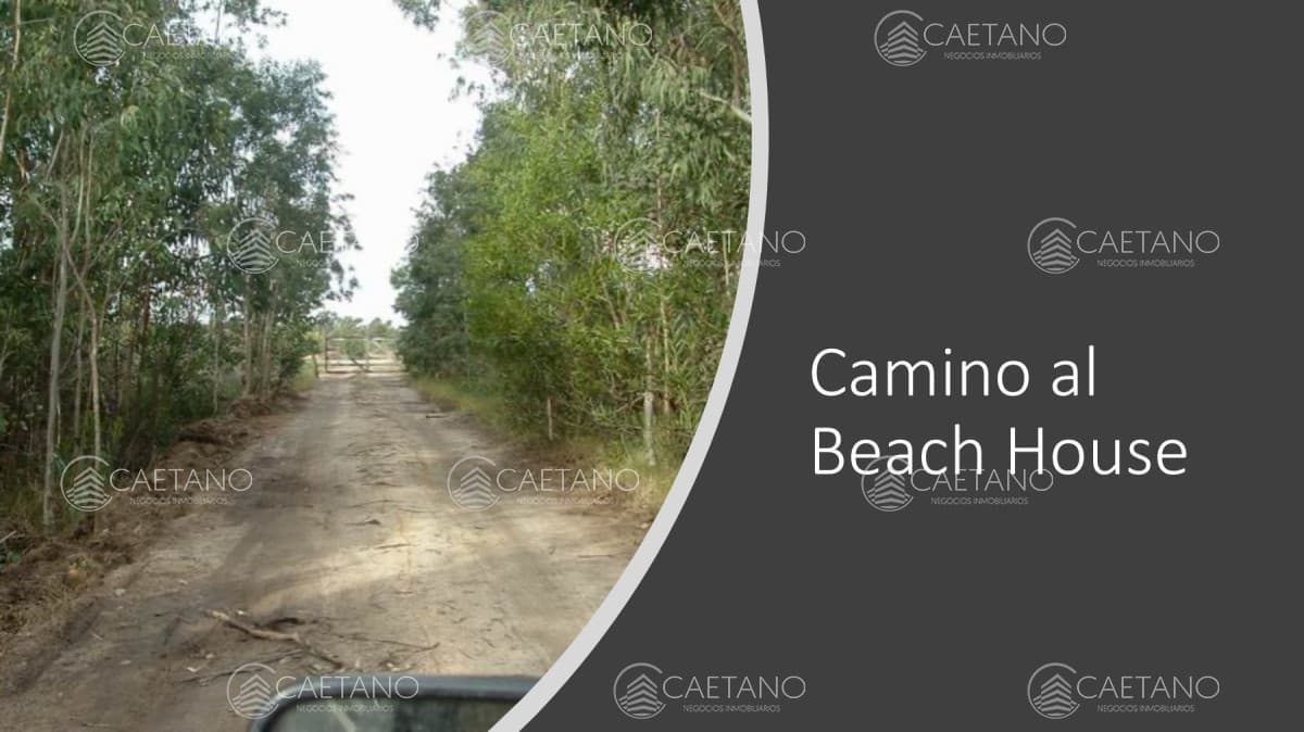 Venta campo 117 hectáreas sobre río de la plata — foto 3