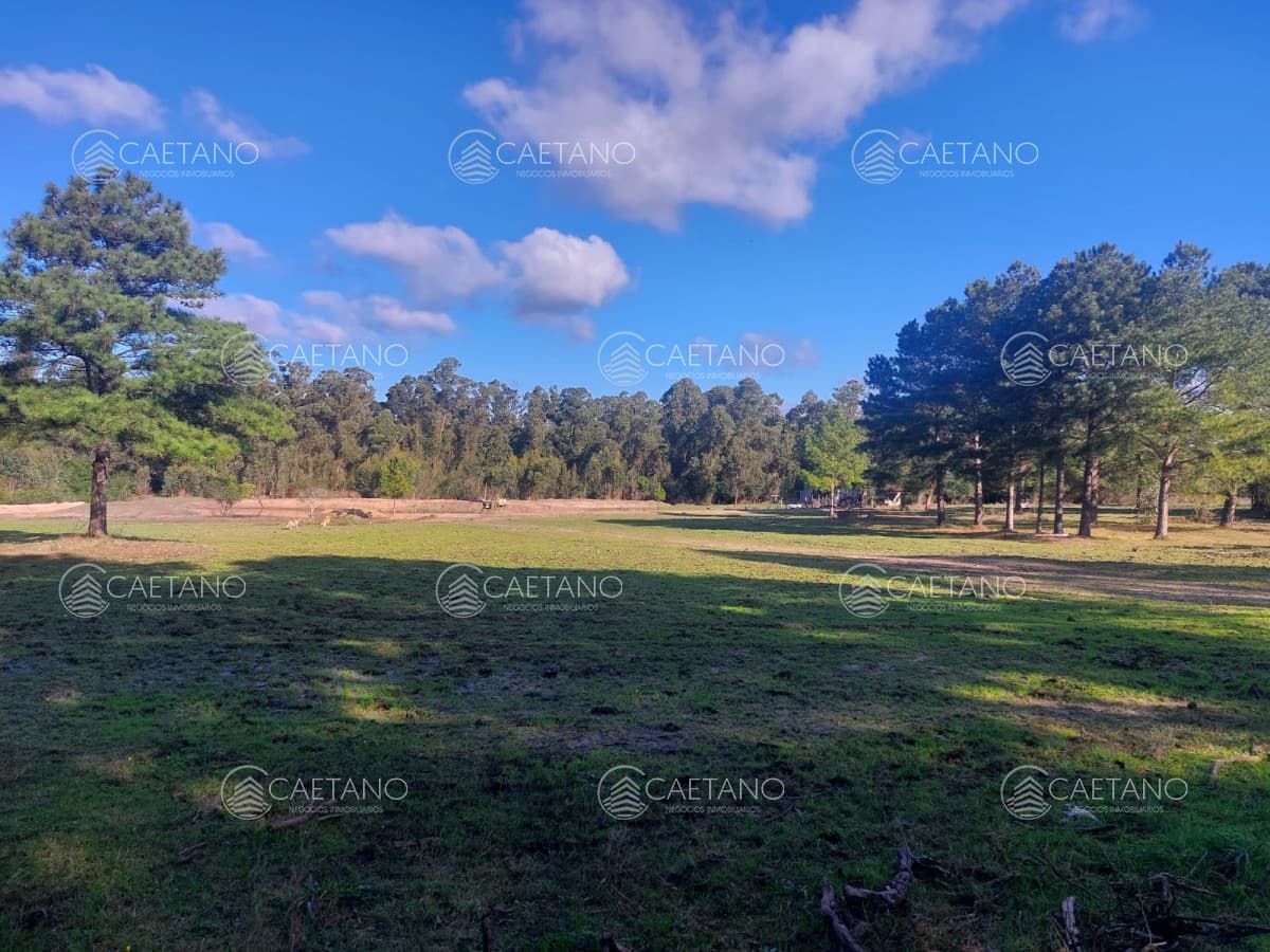 Venta chacra 5has en Canelones - Casa, galpon. tajamar, alambrado