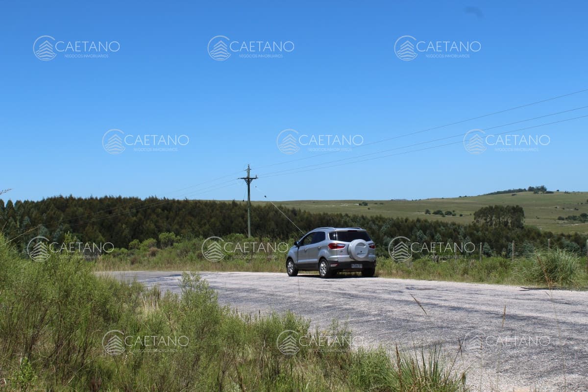 FracciÃƒÂ³n de campo a metros de ruta 12 — foto 2