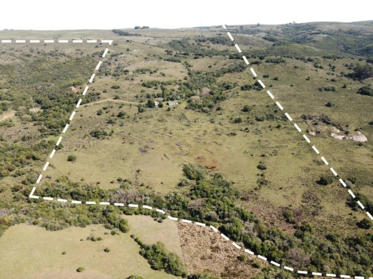 Venta Campo 80 hectareas