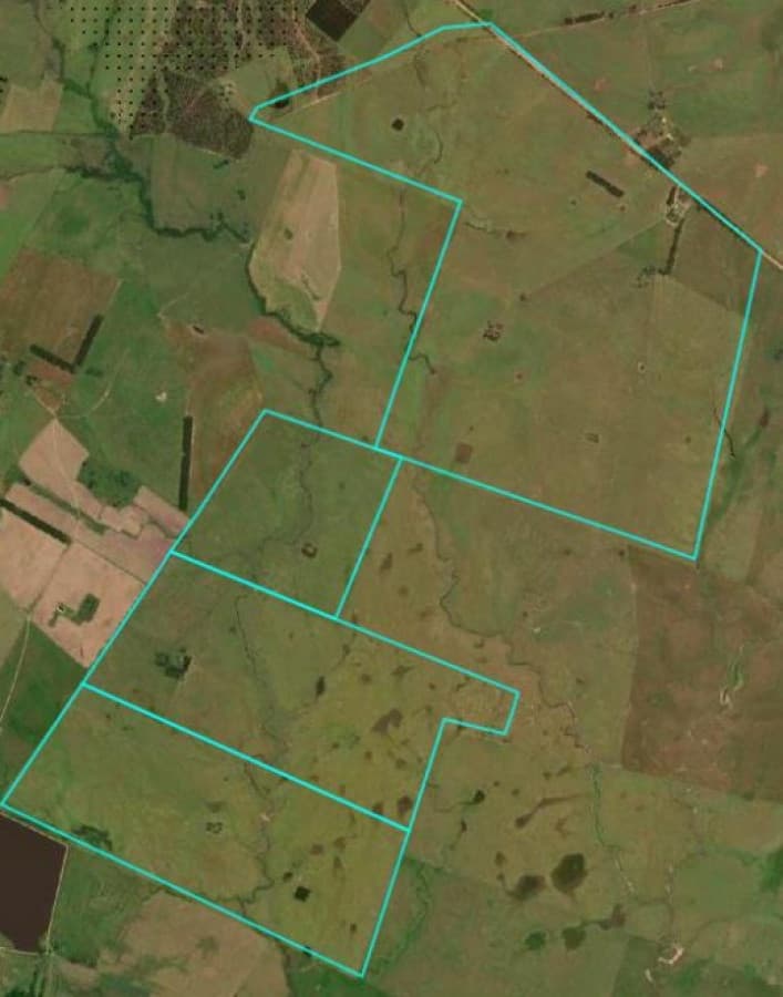 Campo de 800ha en Rocha