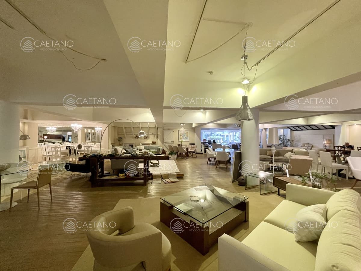 Hermoso local en Punta del Este — foto 3