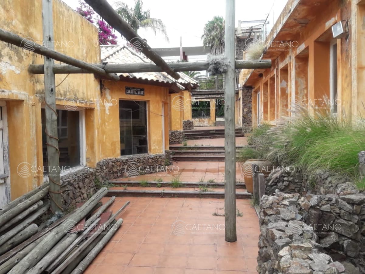 Local en alquiler en Punta del Este — foto 3