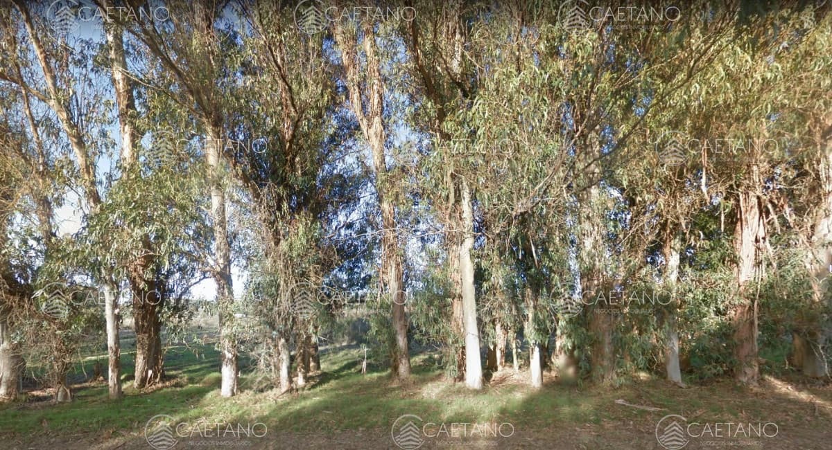 Terreno camino Egusquiza