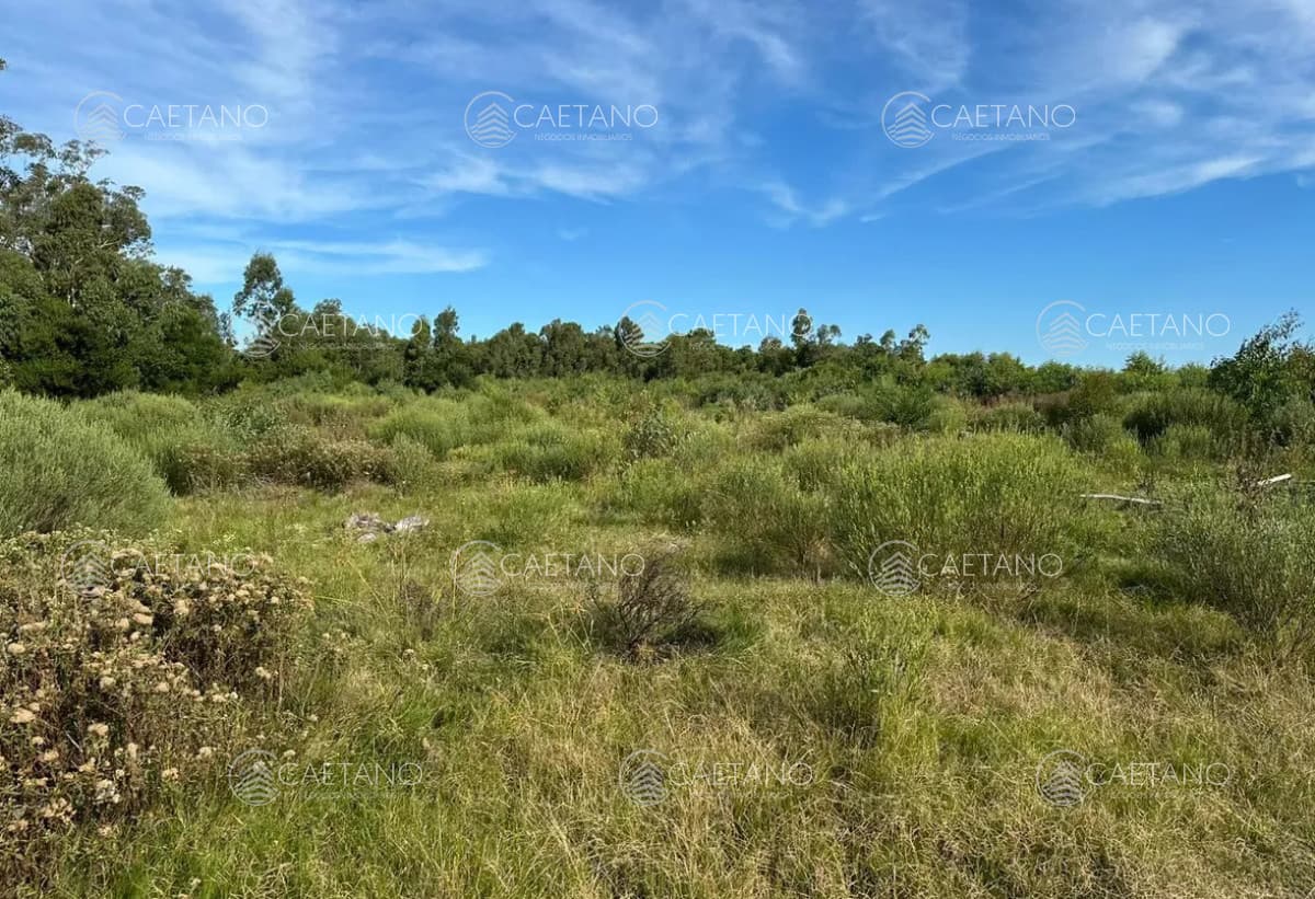 Venta de terreno en Eden Rock — foto 3