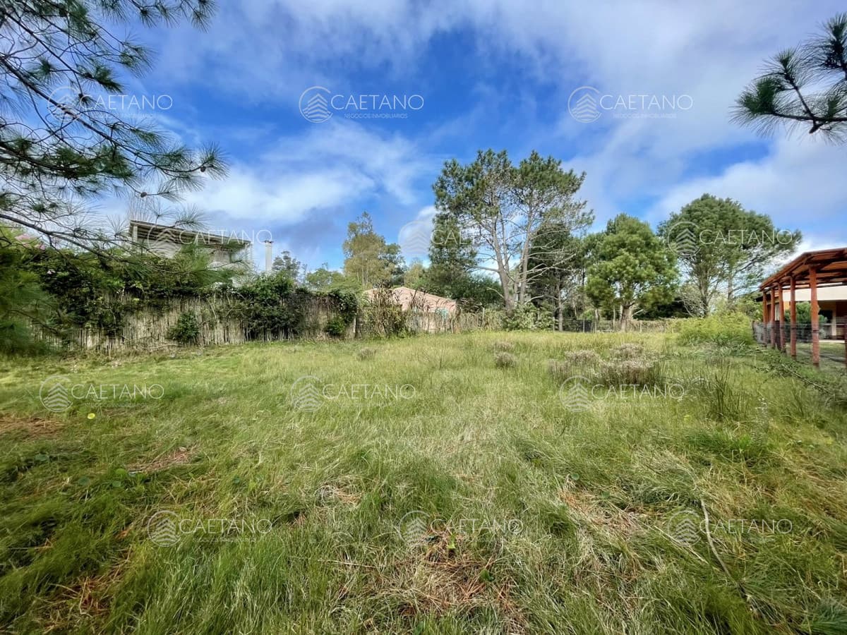 Terreno en venta - Zona Barra — foto 3