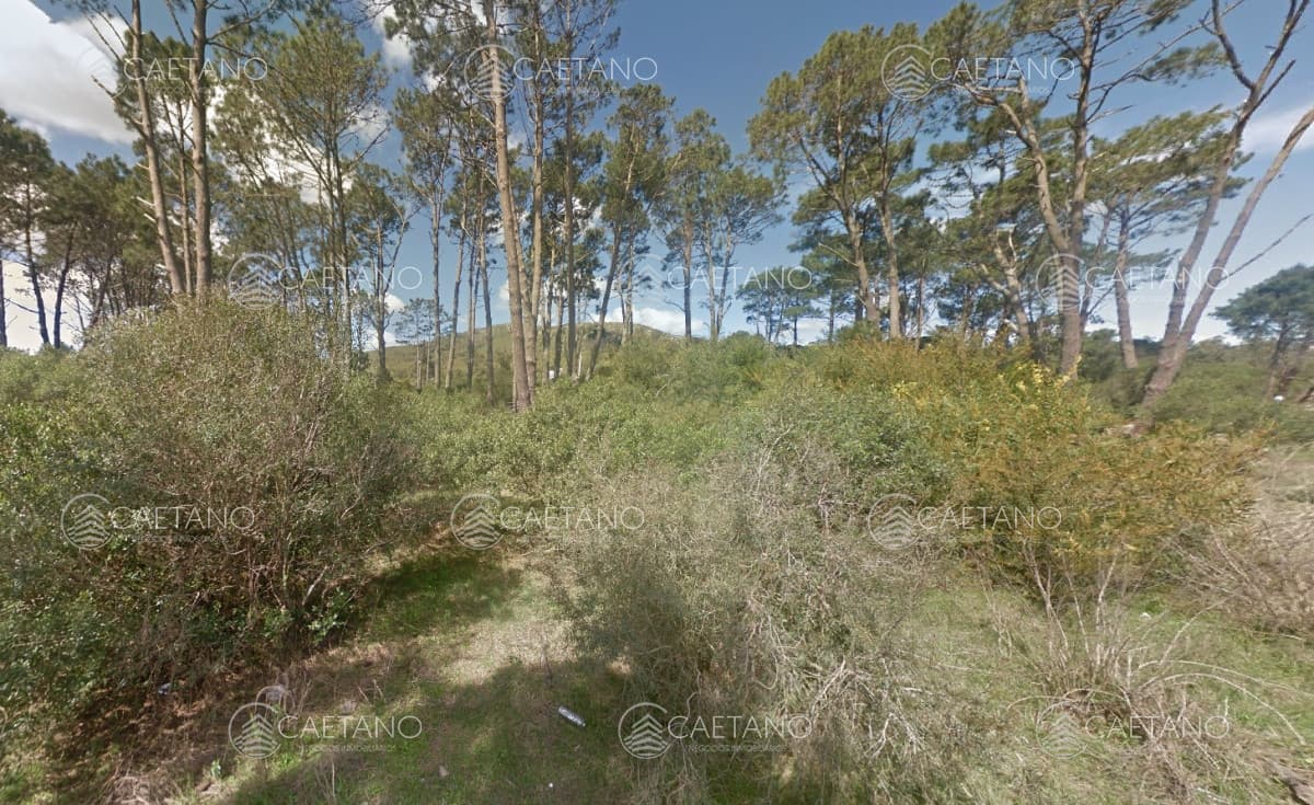 Venta Terreno en Piriapolis 11704m2 — foto 2