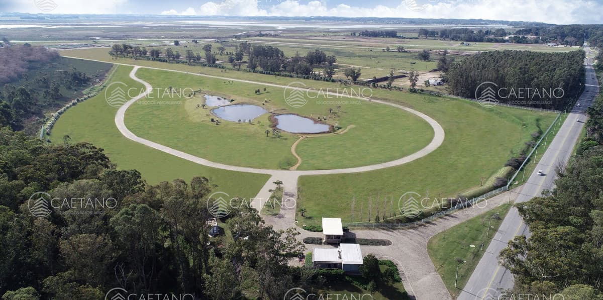 Venta terreno en los caracoles. Punta del Este — foto 3