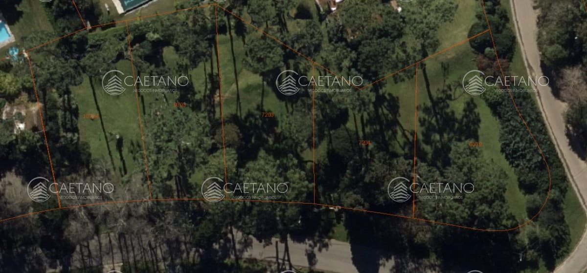 Venta terreno en San Rafael. — foto 2