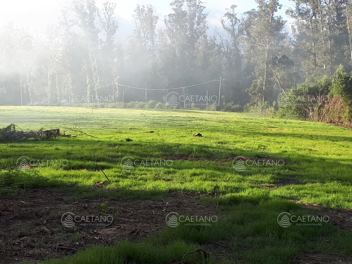 Espectacular Terreno en Rincón del Indio - Punta del Este