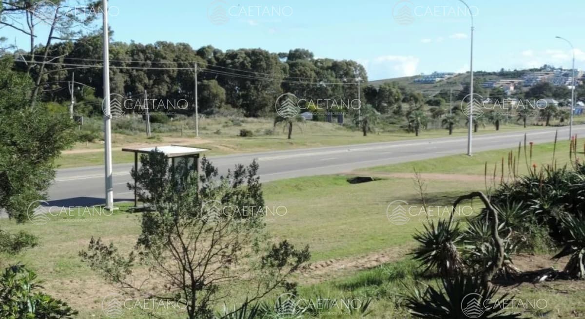 Venta de terreno. Punta Ballena — foto 2
