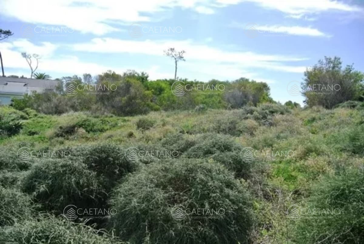 Venta terreno primera línea playa manas Punta del Este — foto 3