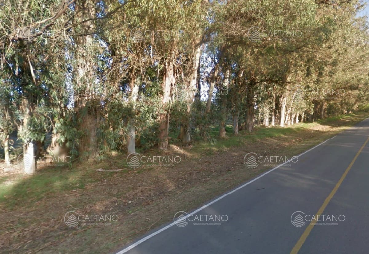 Terreno camino Egusquiza — foto 2