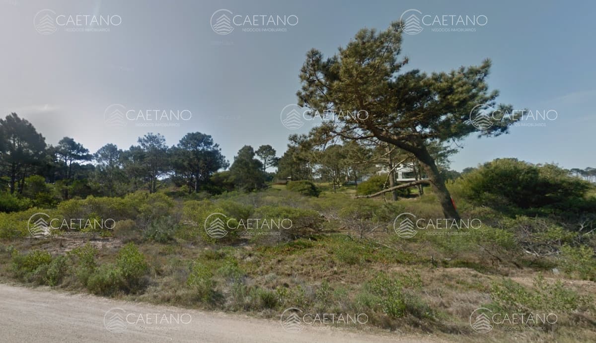 Venta terreno en Chihuahua