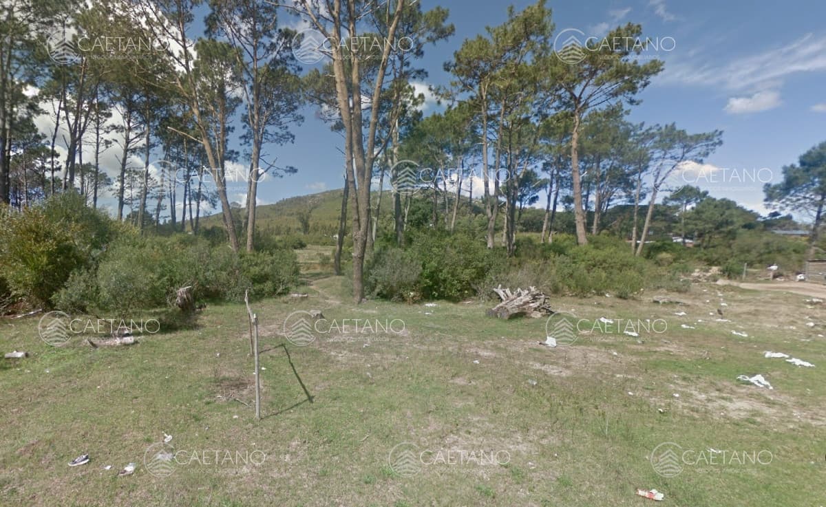 Venta Terreno en Piriapolis 11704m2 — foto 3