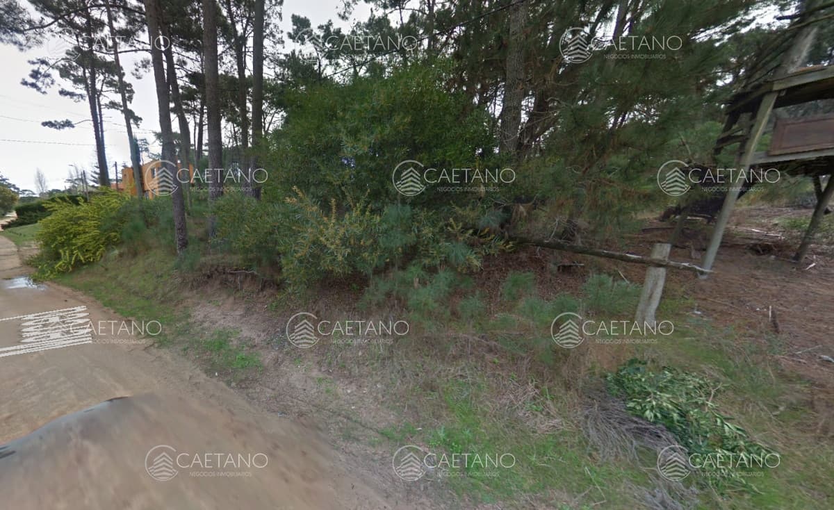 Venta Terreno en Monoya Gran Oportunidad — foto 2