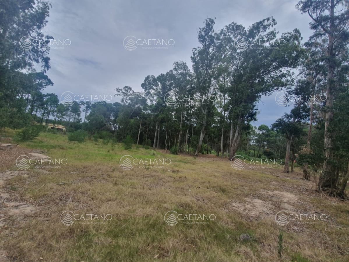 Terreno en venta! — foto 3