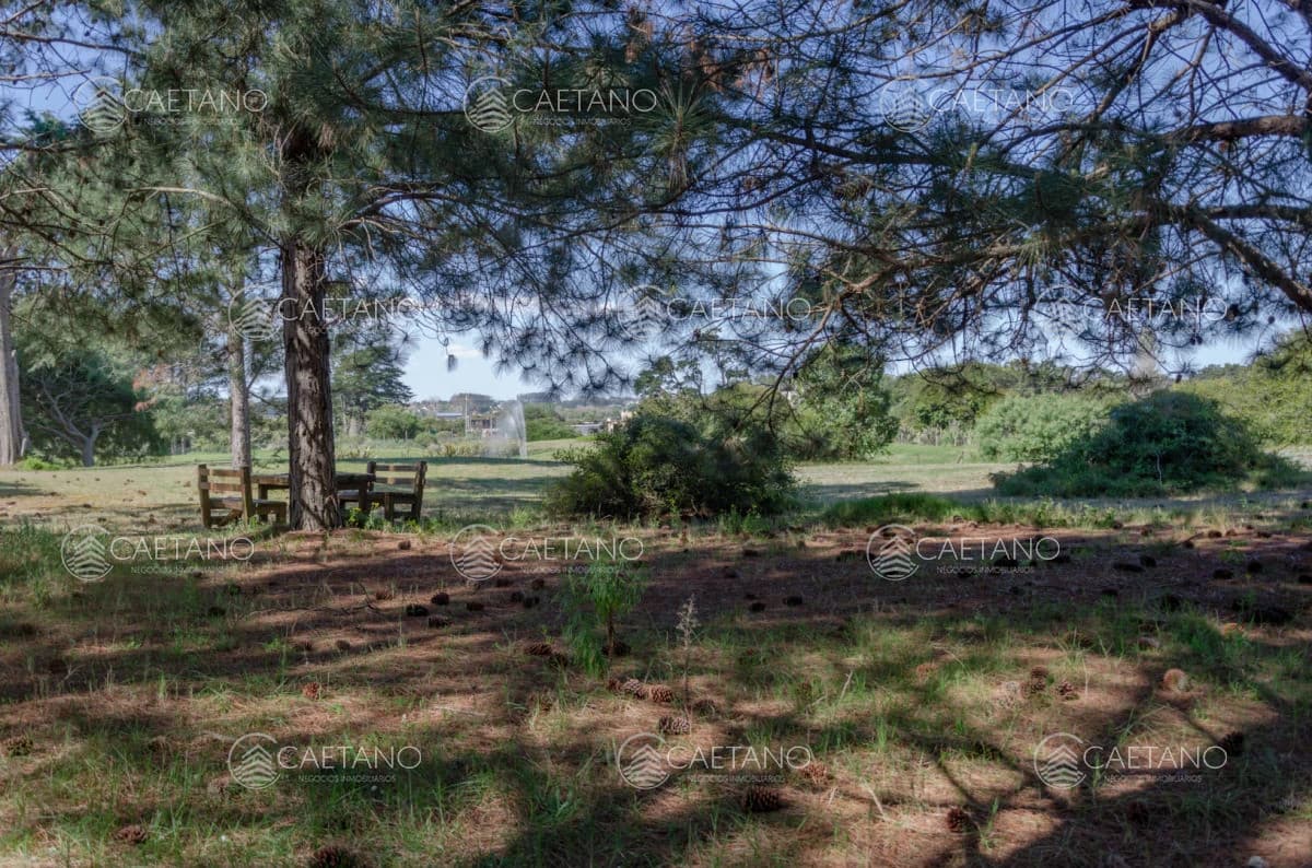 Venta de Lote 1200 m2 en Veramansa - Playa Mansa — foto 2