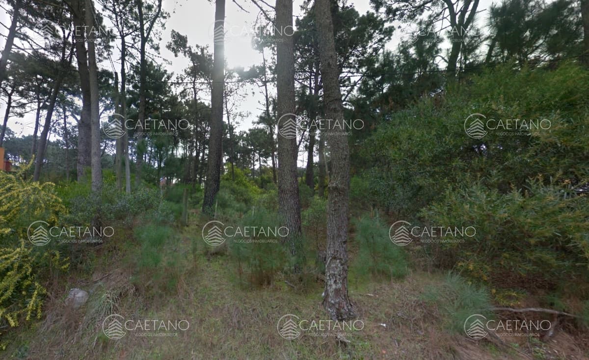 Venta Terreno en Monoya Gran Oportunidad