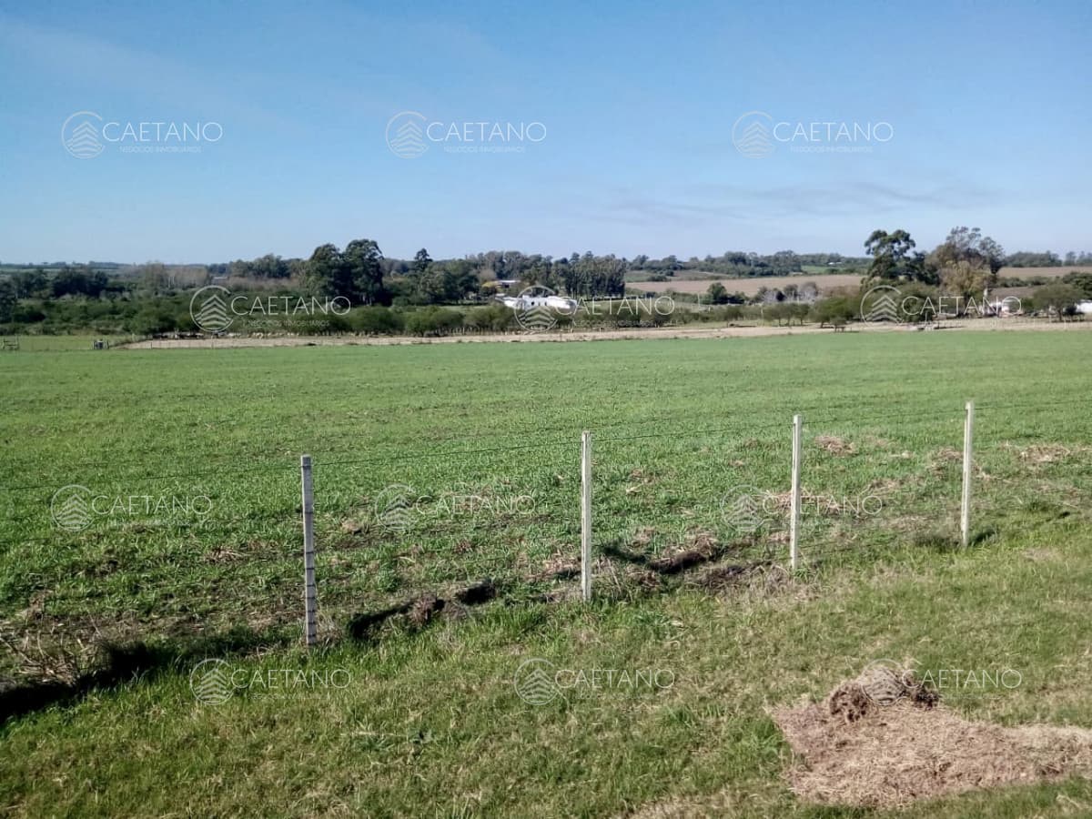 Venta de lotes en Residencial - Las Cañas