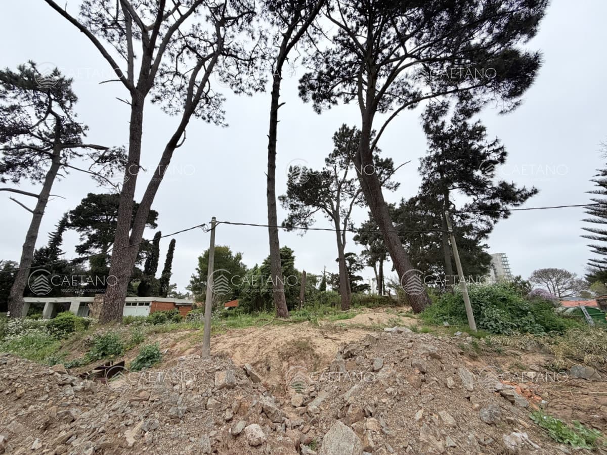 OPORTUNIDAD - Terreno en venta - Punta del Este — foto 3