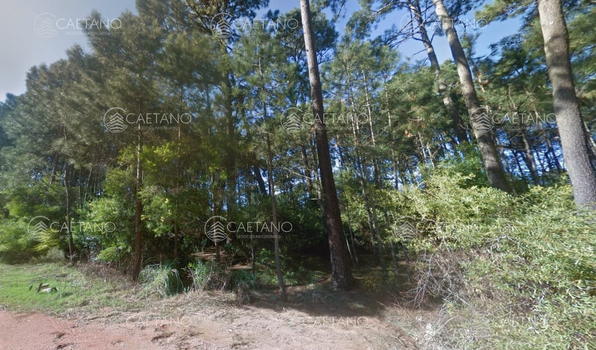 OPORTUNIDAD PARA DESARROLLO - BURNET — foto 3