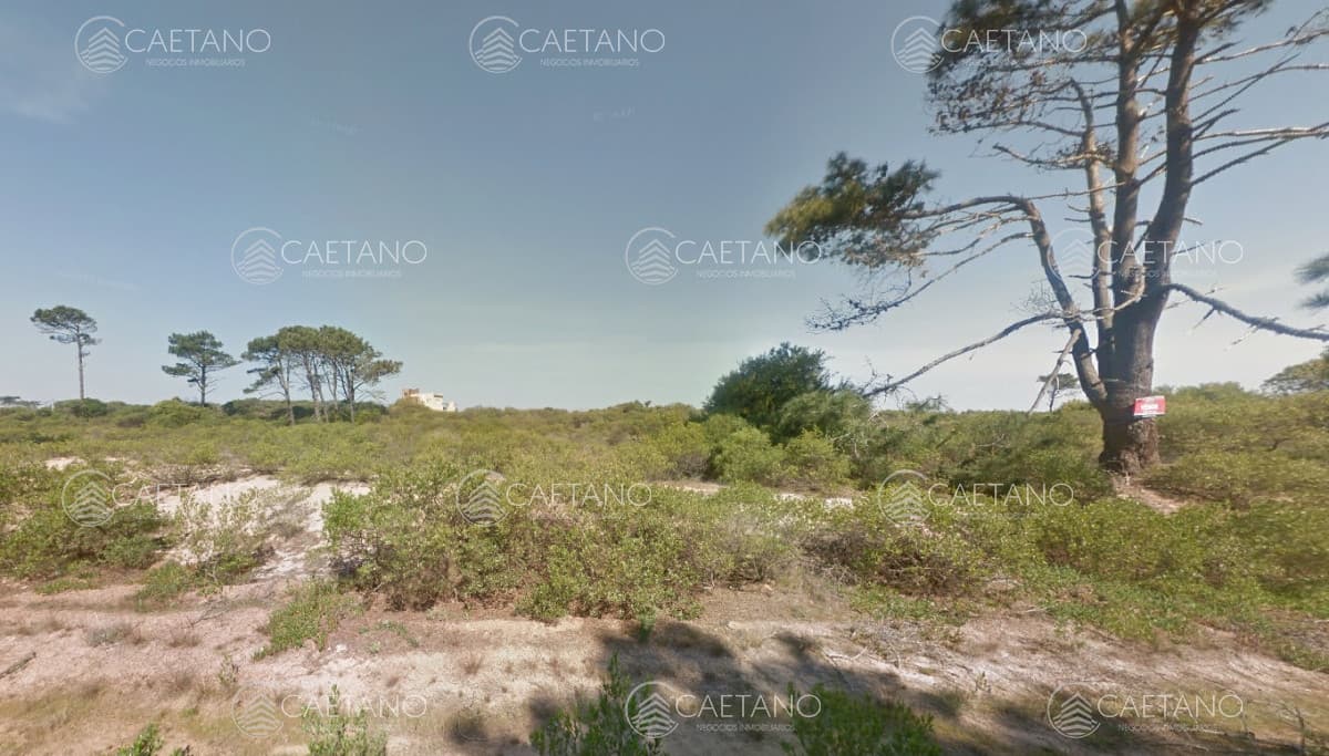 Venta terreno Chihuhua, Punta Ballena.