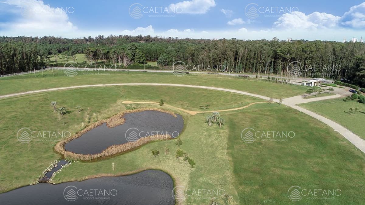Venta terrenos zona torres Caracoles Ciudad Jardin — foto 2