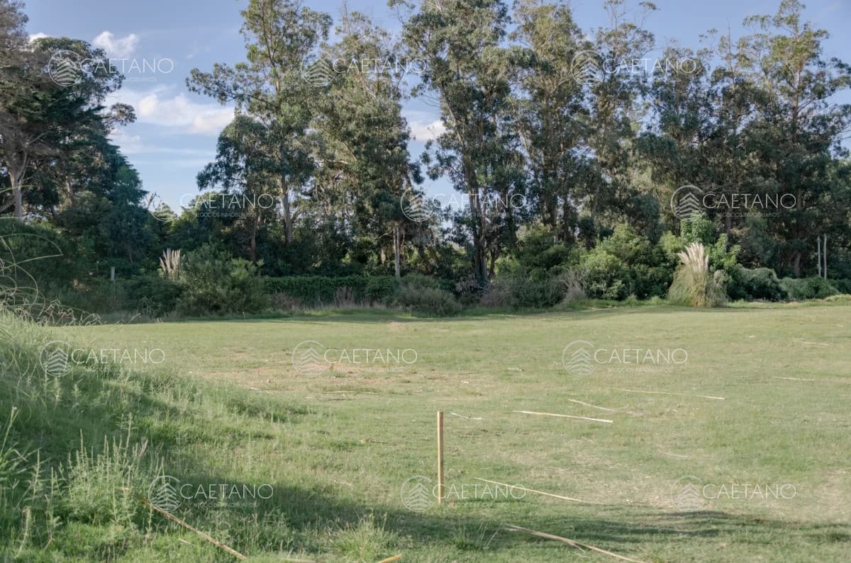 Venta lote en Veramansa, Playa Mansa — foto 2