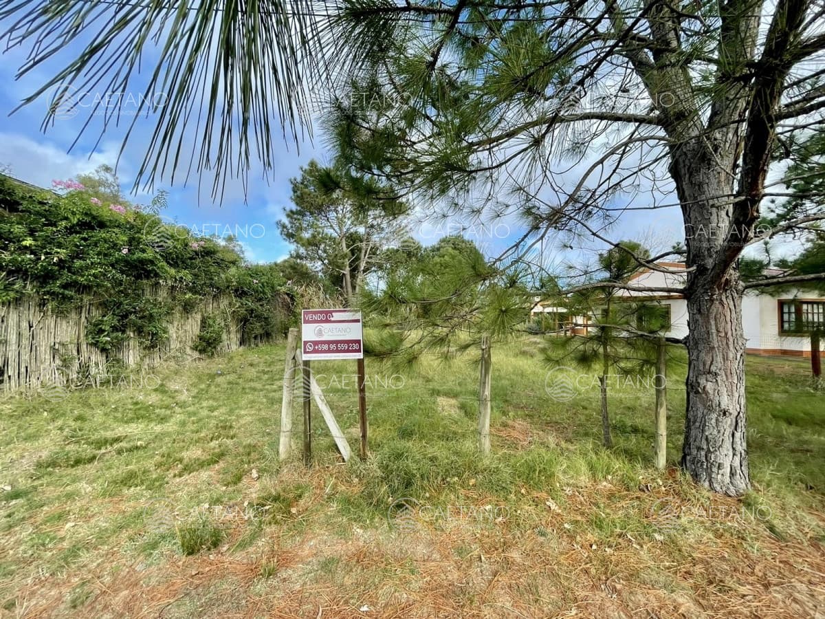 Terreno en venta - Zona Barra — foto 2