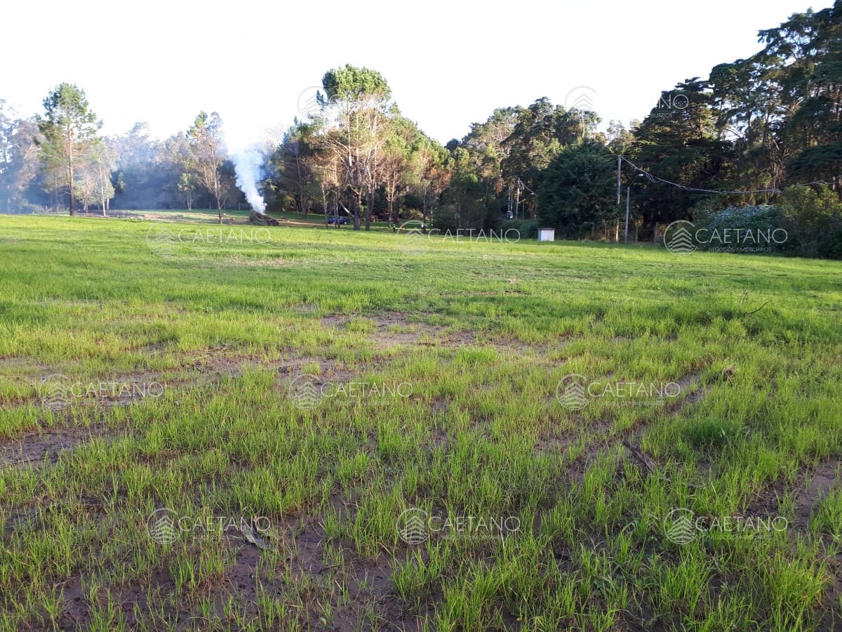 Espectacular Terreno en Rincón del Indio - Punta del Este — foto 2