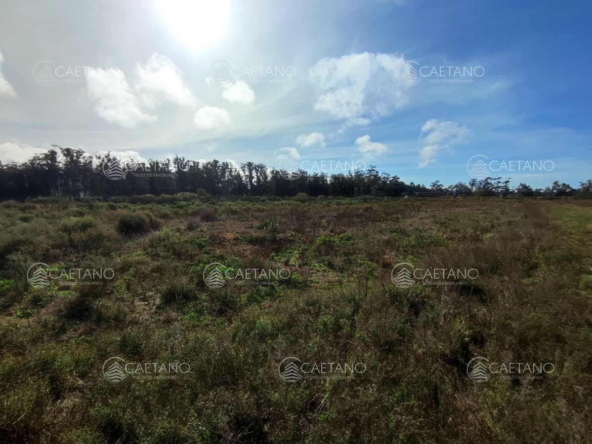 venta terreno la barra — foto 2