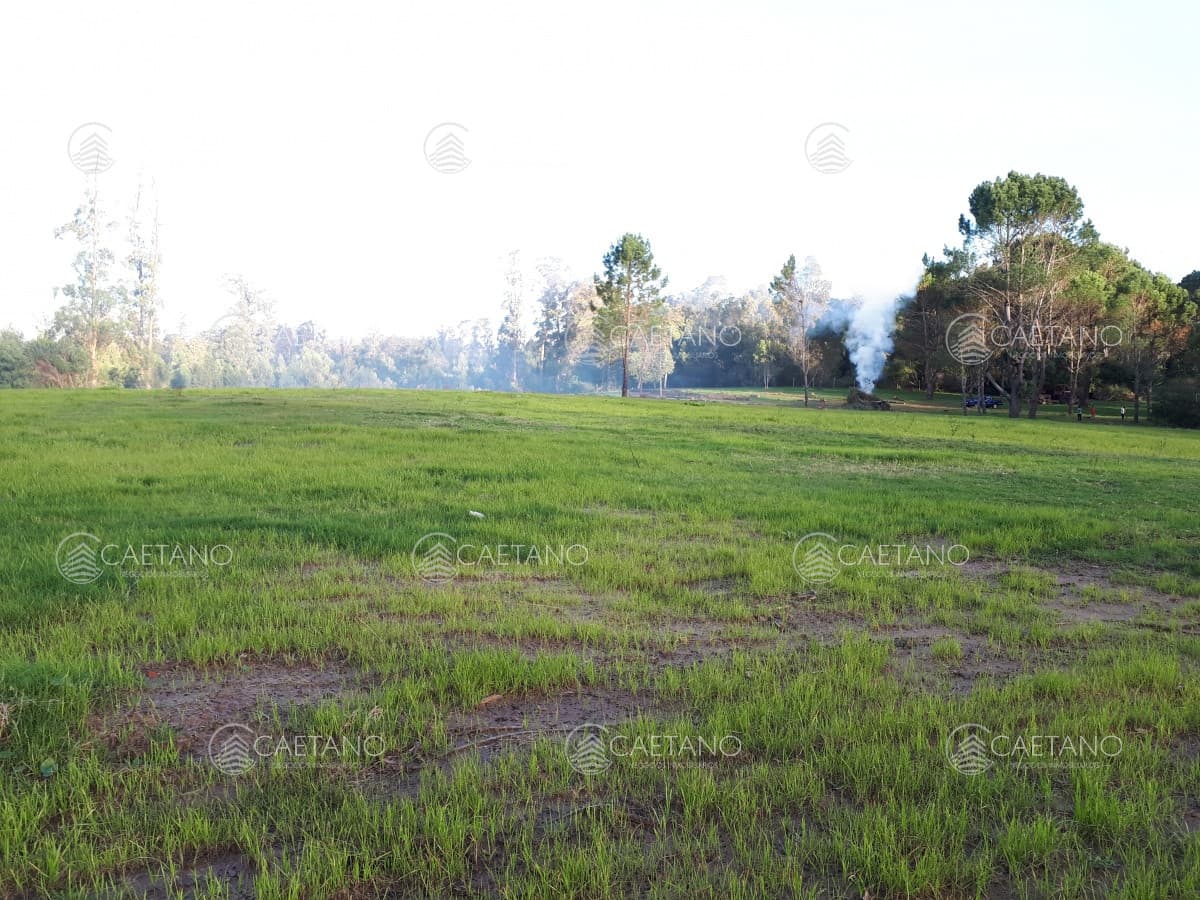 Espectacular Terreno en Rincón del Indio - Punta del Este — foto 3