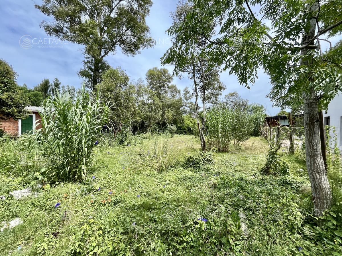Terreno en venta El Tesoro