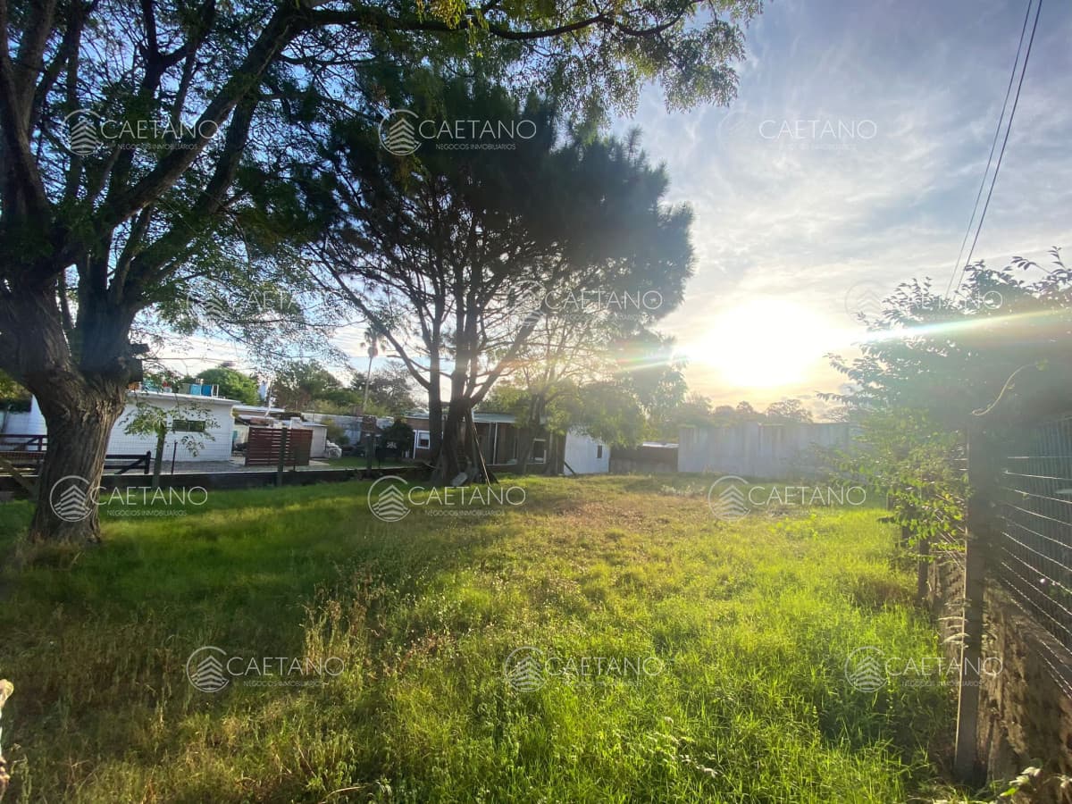 Venta terreno en playa mansa Punta del Este — foto 2