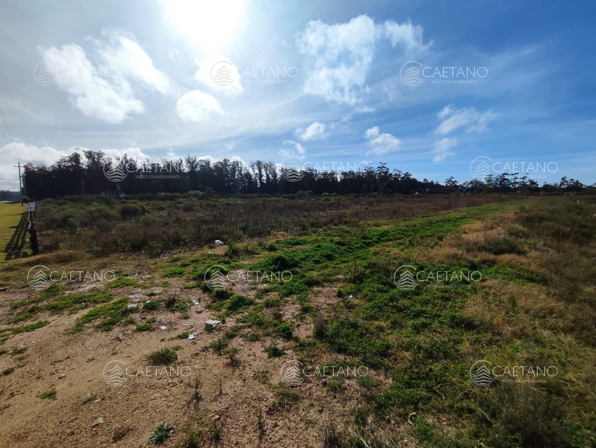 Venta terreno el tesoro, la barra. — foto 3