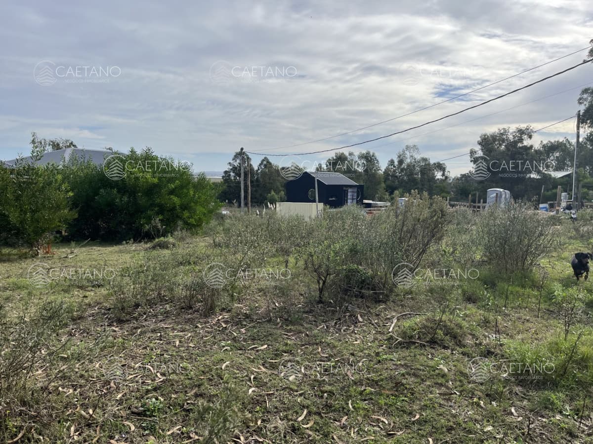Venta lote en la barra — foto 3