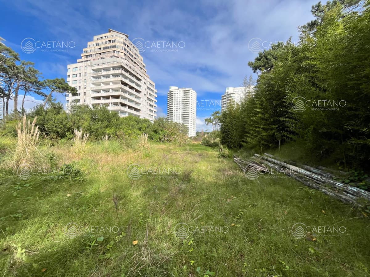 Venta terreno apto para edificio de 20 pisos sobre Roosevelt Punta del Este — foto 3