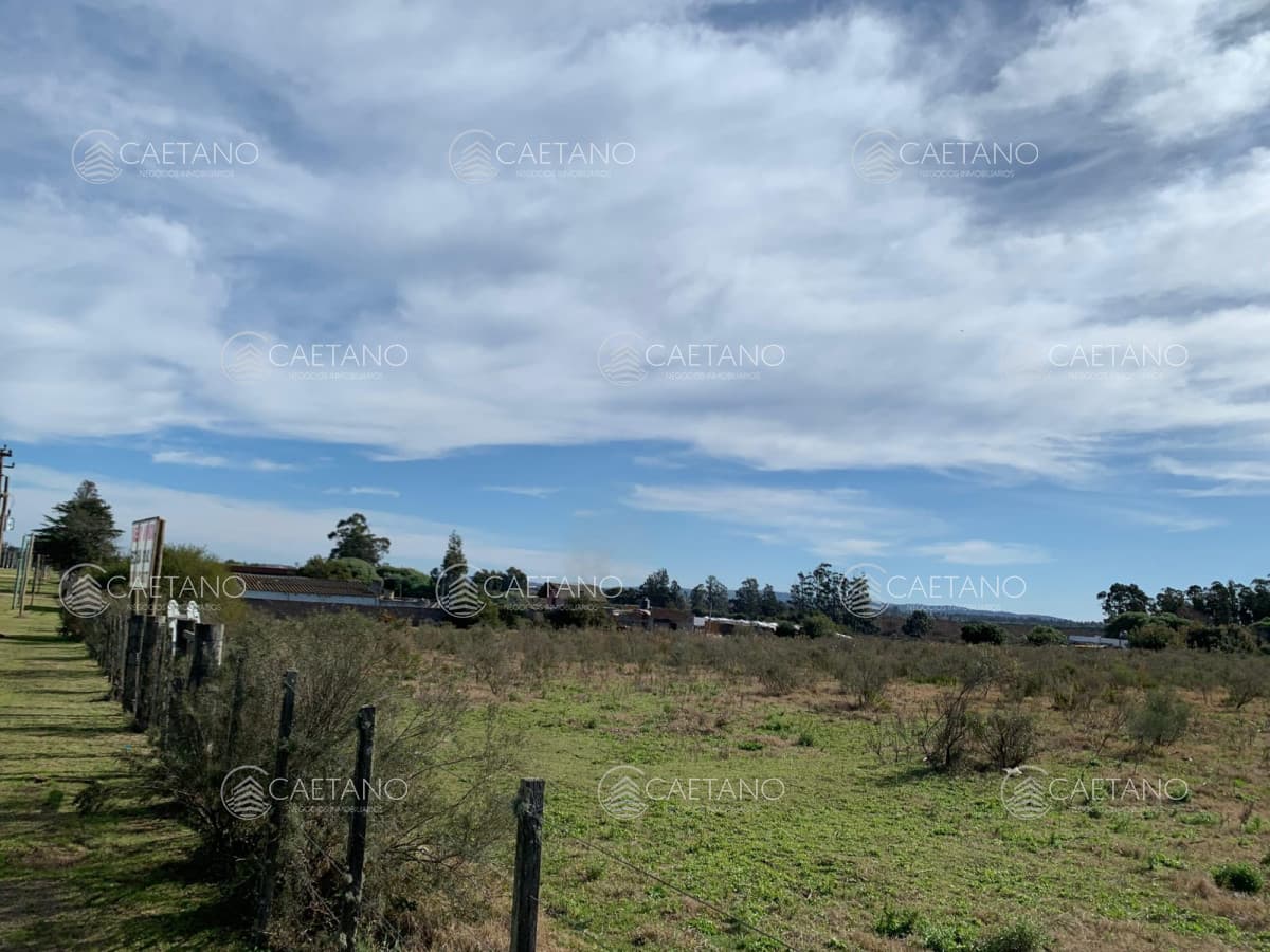 Venta Terreno en Maldonado, San Carlos — foto 2