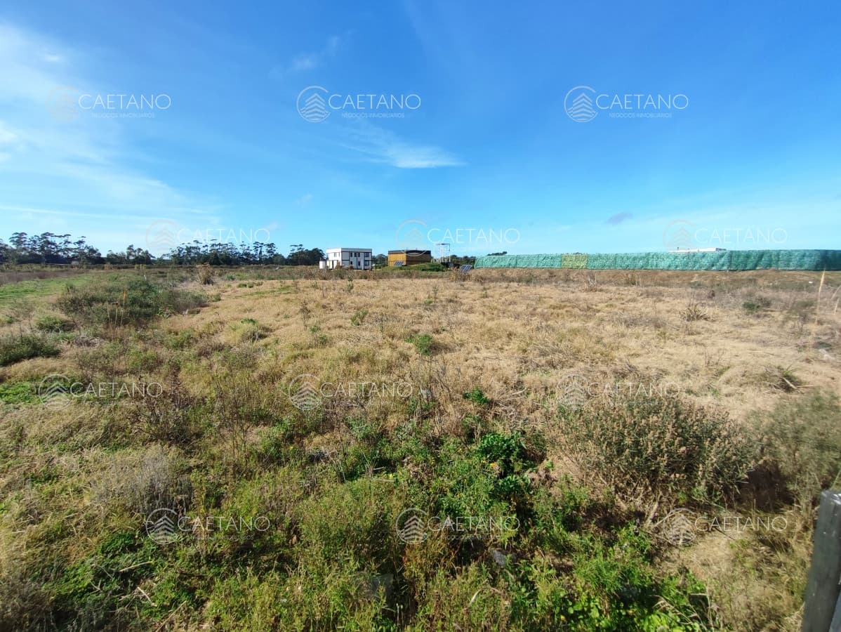 venta terreno la barra — foto 2